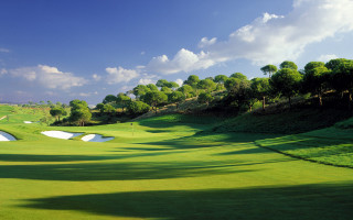 Green golf course hole trees - fantastic free wallpaper for desktop