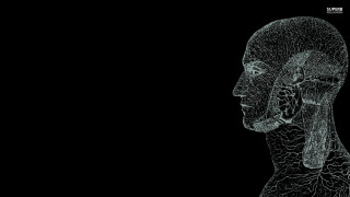 Black white brainmap human head - dan hillier free wallpaper