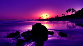 Sunset beach purple sky palm - a purple hue free wallpaper