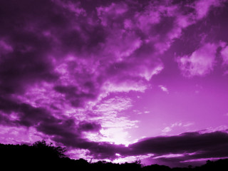 Purple sky clouds trees bench - free sky wallpaper