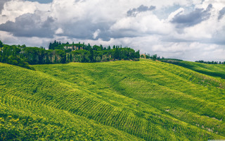 Lush green hillside house trees - a lush green hillside free wallpaper