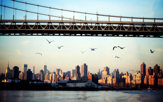 Bridge water city birds flying - a bridge over a body of water free wallpaper