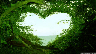 Heart shaped tree ocean view - a view of the ocean in the background free wallpaper