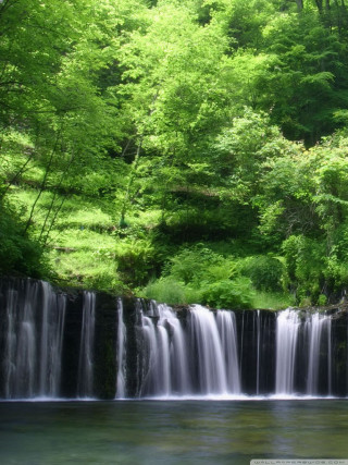 Waterfall forest lush hillside stream - free spring wallpaper for mobile