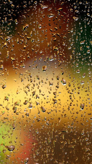 Rainy window leaf autumn forest - free rain wallpaper for mobile