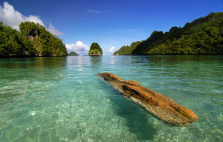 Log water beach islands blue - amazing depth free wallpaper