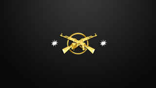 Gold gun two stars black - the bottom of the image free wallpaper for desktop