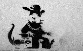 Cat dog wall boombox camera - banksy free wallpaper
