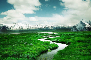 Stream lush field mountains snow - a lush green field free wallpaper