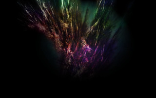 Black background purple green flowers - particle free wallpaper for desktop