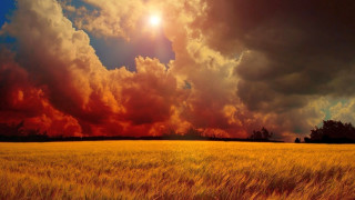 Clouds sunshine autumn leaves fire - the cloud above free wallpaper for desktop