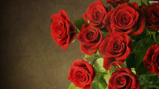 Red roses vase table brown - red rose free wallpaper for desktop