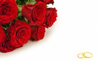 Bouquet red roses gold wedding - a white backdrop free wallpaper