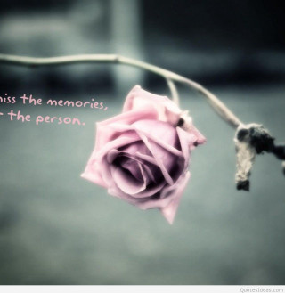 Pink rose quote on it - you free wallpaper for tablet