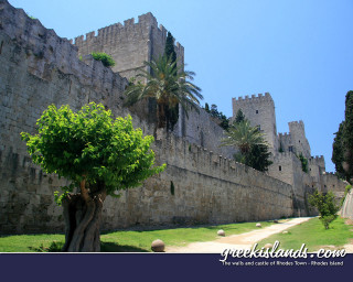 Tree stone wall path castle - a tree in front free wallpaper for desktop