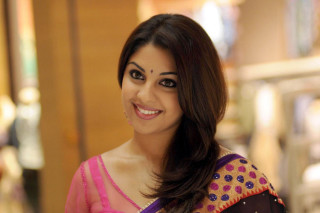 Woman pink purple sari smiling - sari free wallpaper