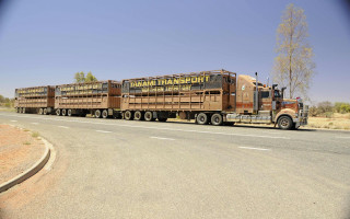 Truck trailer cattle desert road - a truck free wallpaper