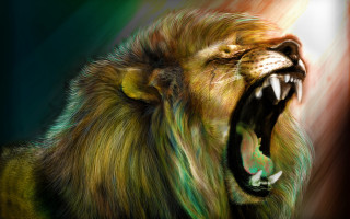 Lion mouth open teeth wide 2 - his mouth wide open free wallpaper