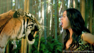 Woman tiger forest mouth open - epic composition free wallpaper