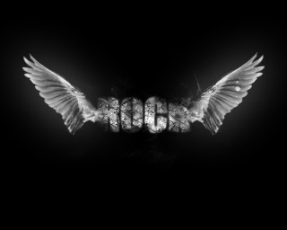 Black white bird wings boo - photo of a bird free wallpaper