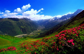 Valley flowers mountains clouds sky - a valley free wallpaper