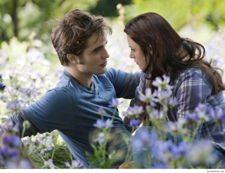 Young man woman sitting field 2 - her forehead free wallpaper