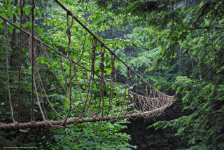 Rope bridge forest man walking - the bridge free wallpaper