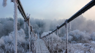 Ice frosted bridge woods path - a bridge free wallpaper