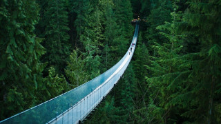 Suspension bridge forest car truck - the other side free wallpaper for desktop