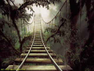 Wooden staircase forest trees fog - digital photography free wallpaper