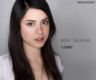 Woman long hair white shirt 14 - anne ryan free wallpaper for desktop