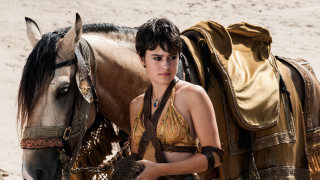 Woman bikini horse beach saddle - a horse free wallpaper for desktop