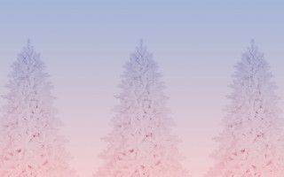 Pink blue background three trees - a few cloud free wallpaper for desktop