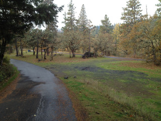 Pond fence forest waterfall trees - a pond free wallpaper