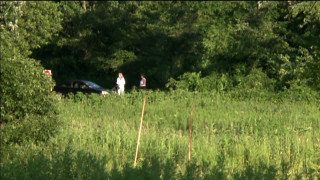 Couple walking lush green field - a lush green field next free wallpaper