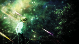 Man bridge butterfly shoulder forest - a butterfly free wallpaper for desktop