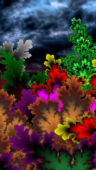 Flowers night sky clouds digital - a dark sky free wallpaper for mobile