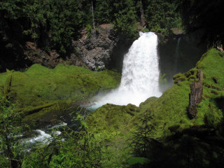 Waterfall forest moss stream nature - a waterfall in the middle of a forest free wallpaper
