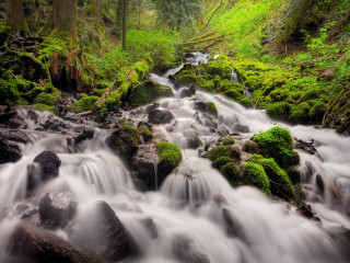 Lush forest stream waterfall moss - the rock free wallpaper