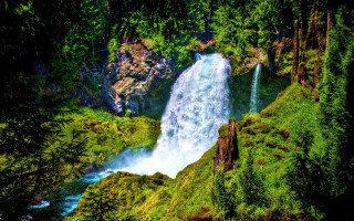 Waterfall forest lush green hillside 2 - a forest below free wallpaper