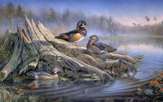 Ducks on log pond ducklings - oil painting free wallpaper for desktop