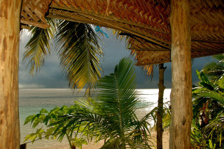 Beach palm tree bench thatch - a view of a beach free wallpaper