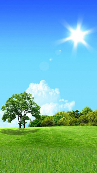 Green field tree blue sky 6 - blue sky in the background free wallpaper for mobile