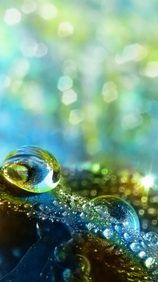 Water droplet leaf bokeh bubbles - a leaf free wallpaper for mobile