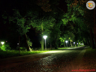 Night park path lights trees - tonalism free wallpaper