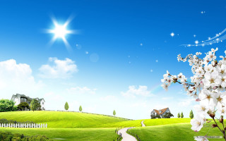 Green field white flower house - a star in the sky free wallpaper for desktop