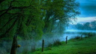 Foggy lake fence trees night 2 - mist free wallpaper for desktop