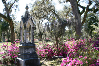 Cemetery clock flowers trees spanish - spanish free wallpaper