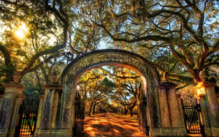 Gate tree sunbeam path autumn - charles ragland bunnell free wallpaper