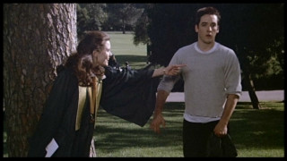 Man woman tree park standing - a tree in a park free wallpaper